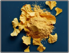 Ginkgo Biloba Powder